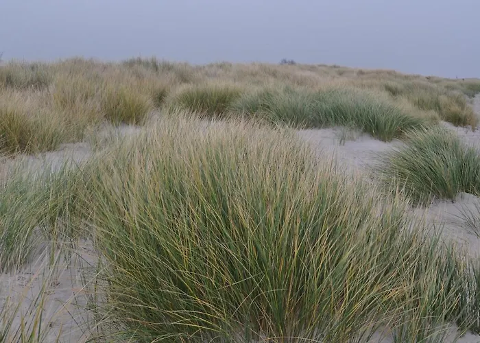 Hotel See Deich Grömitz